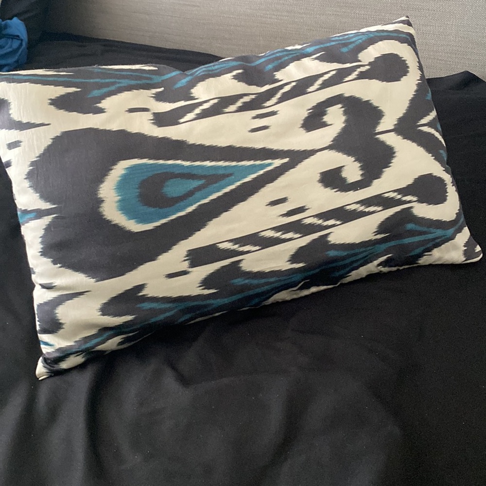 2 Pottery Barn Pillow Covers